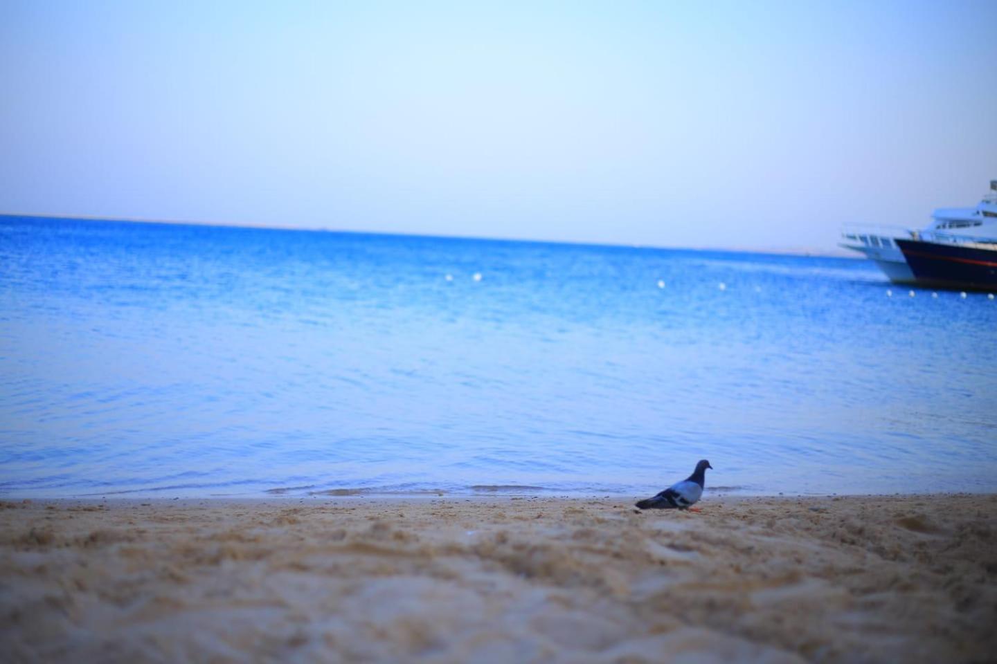 Al Makramia Compound * Hurghada